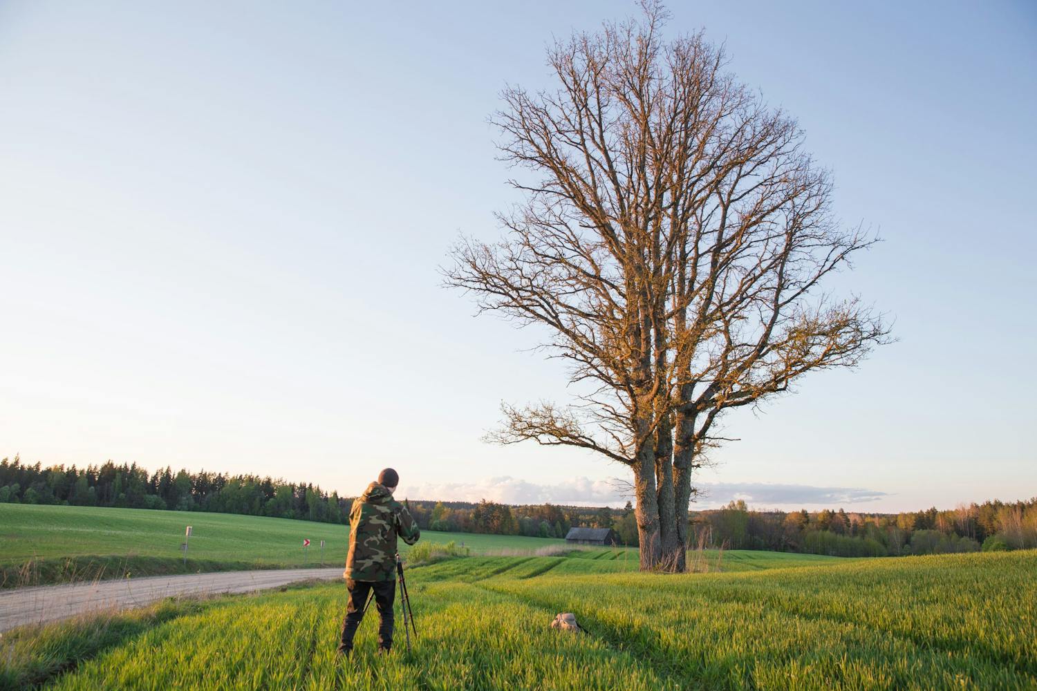 Naturfotograf står på en åker med kamera och kamerastativ